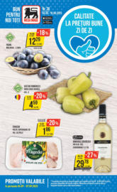 Catalog Mega Image până în data de 10.09.2025