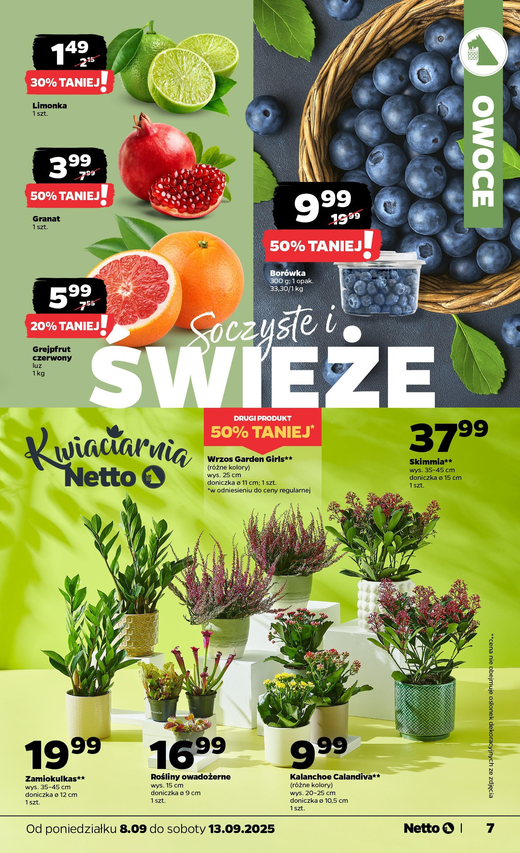Netto - NETTO T37A ważne do 13.09 od 07.09.2025 | Promocje | Strona: 7 | Produkty: Wrzos, Doniczka, Kalanchoe, Grejpfrut Netto - NETTO T37A ważne do 13.09 od 07.09.2025 - Aktualne promocje | Strona: 7 | Produkty: Wrzos, Doniczka, Kalanchoe, Grejpfrut