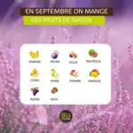 Biomonde Septembre fruits & legumes - au 30.09.2025