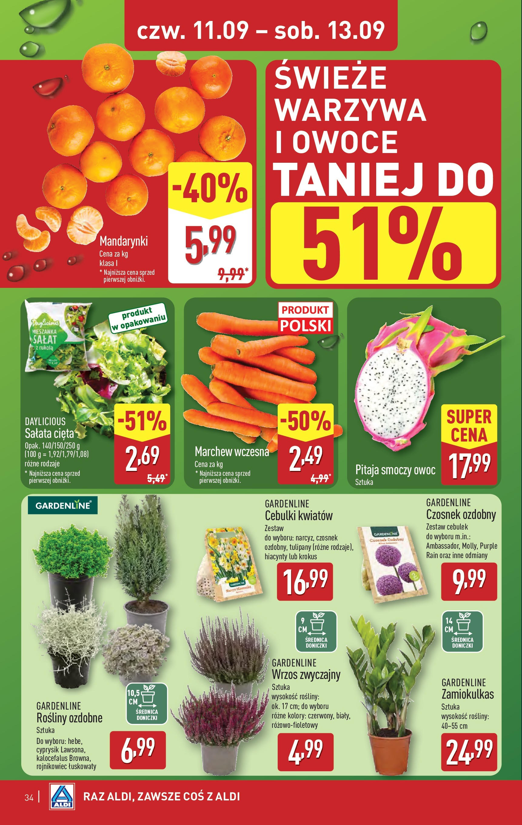 Aldi - Super ceny w ALDI do 13.09 od 07.09.2025 | Nowa PDF gazetka | Strona: 34 | Produkty: Czosnek, Pitaja, Owoce, Cebulki kwiatów Aldi - Super ceny w ALDI do 13.09 od 07.09.2025 - Ulotka PDF, promocje | Strona: 34 | Produkty: Czosnek, Pitaja, Owoce, Cebulki kwiatów