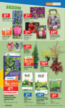 Nowe oferty do odkrycia