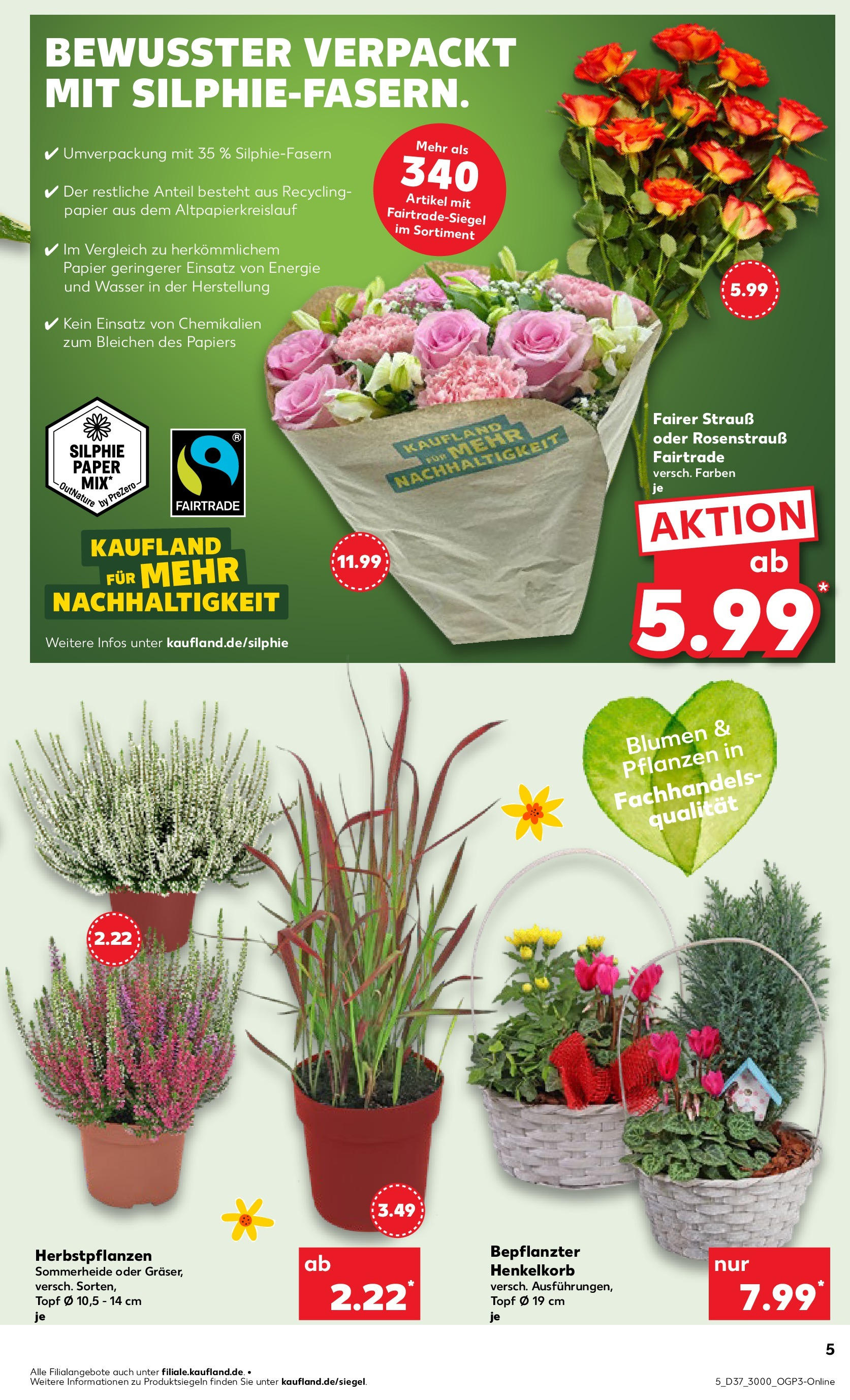 Prospekt Kaufland ab 10.09.2025 » Angebote Online zum Blättern | Seite: 5 | Produkte: Blumen, Wasser