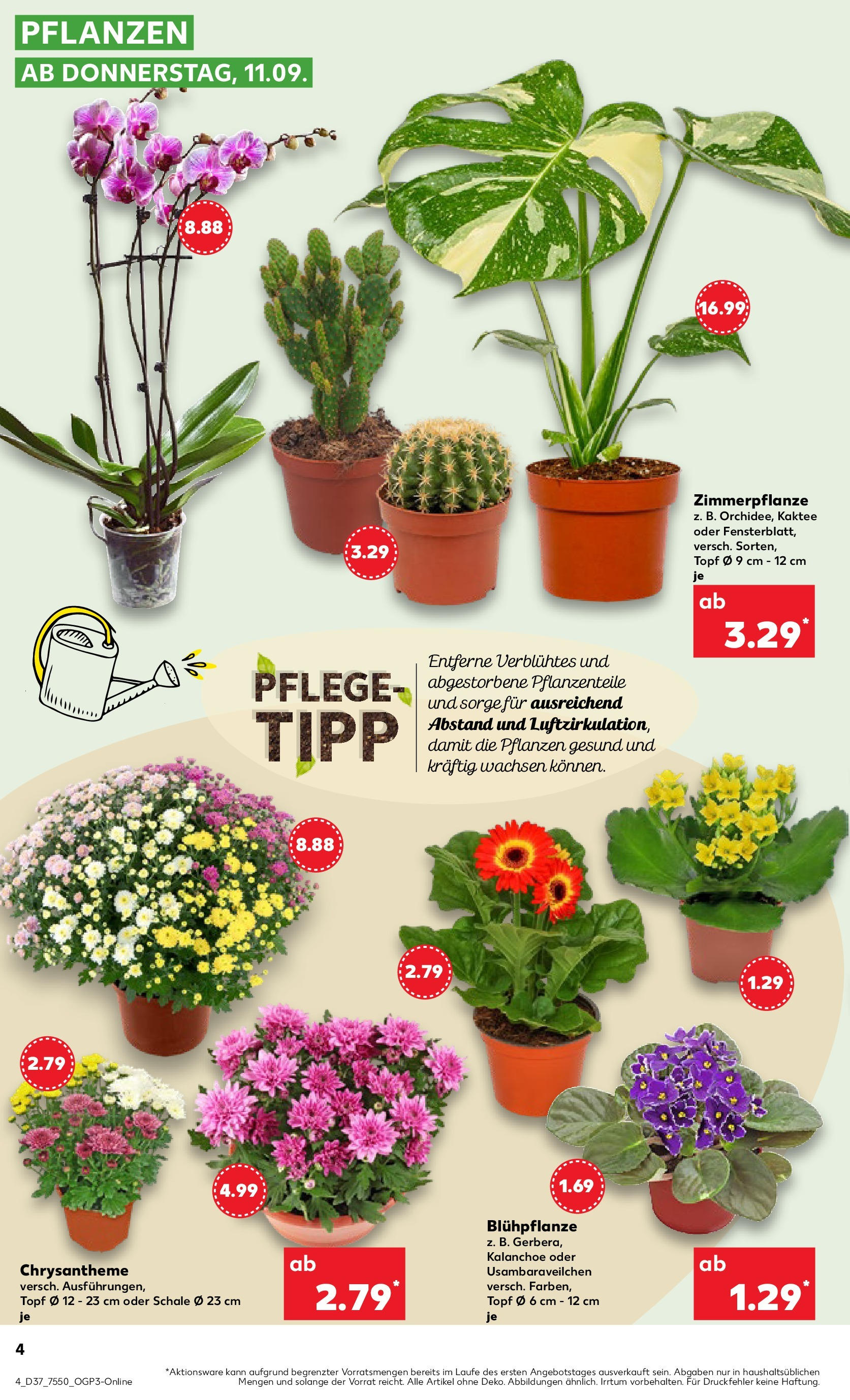 Prospekt Kaufland ab 10.09.2025 » Angebote und Werbung Online | Seite: 4 Prospekt Kaufland ab 10.09.2025 » Angebote Online zum Blättern | Seite: 4