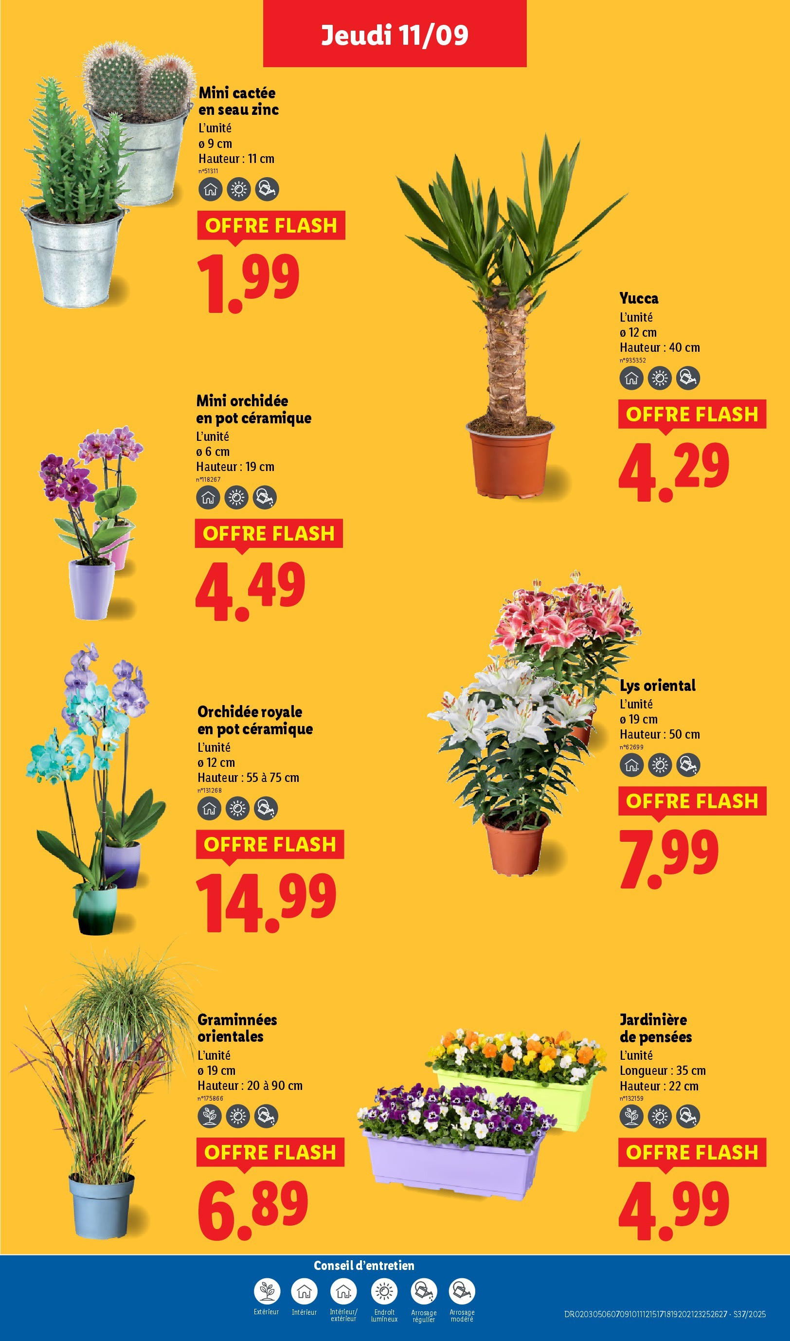 Catalogue LIDL du 11/09/2025 | Promo prospectus en ligne | Page: 29 | Produits: Jardinière, Orchidée Catalogue LIDL du 11/09/2025 | Promo prospectus en ligne | Page: 29 | Produits: Jardinière, Orchidée