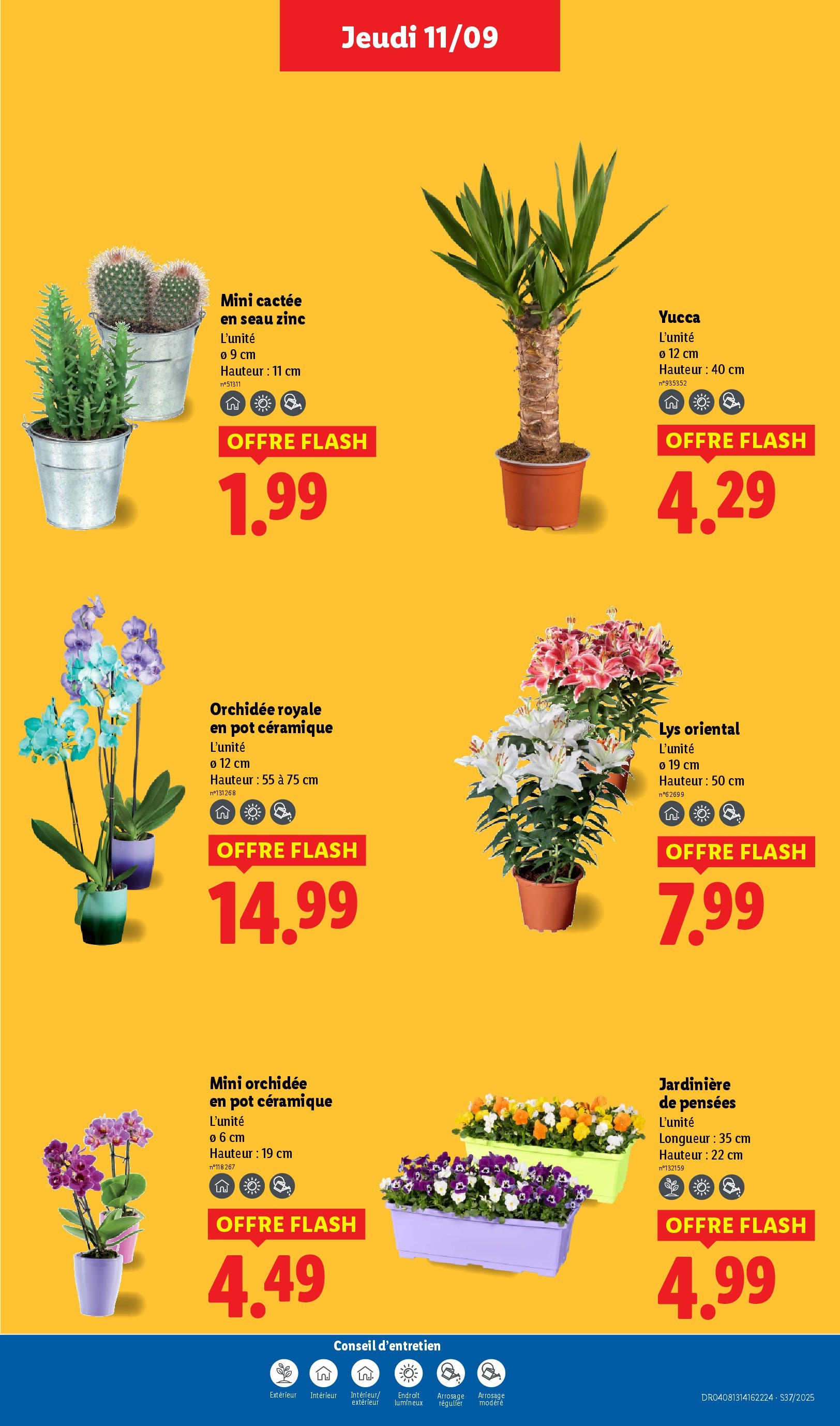 Catalogue LIDL du 11/09/2025 | Promo prospectus en ligne | Page: 29 | Produits: Jardinière, Orchidée Catalogue LIDL du 11/09/2025 | Promo prospectus en ligne | Page: 29 | Produits: Jardinière, Orchidée