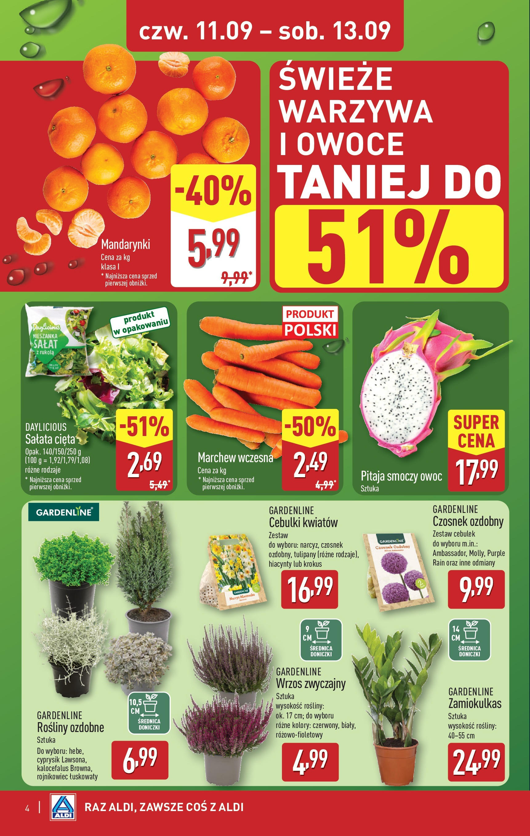 Aldi - Od czwartku 11.09 w ALDI od 10.09.2025 | Nowa PDF gazetka | Strona: 4 | Produkty: Zamiokulkas, Smoczy owoc, Pitaja, Tulipany Aldi - Od czwartku 11.09 w ALDI od 10.09.2025 - Ulotka PDF, promocje | Strona: 4 | Produkty: Zamiokulkas, Smoczy owoc, Pitaja, Tulipany