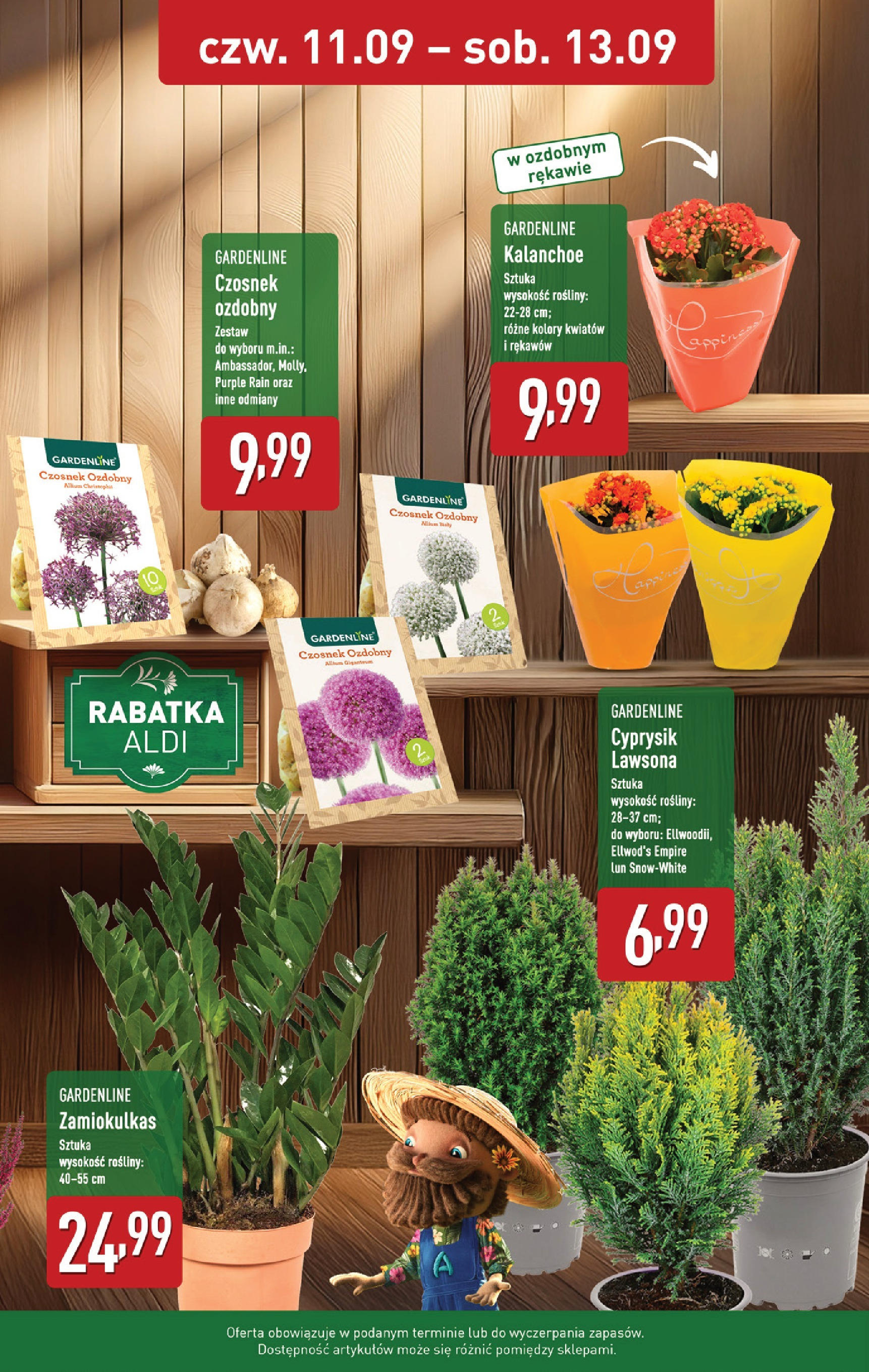 Aldi - Od czwartku 11.09 w ALDI od 10.09.2025 | Nowa PDF gazetka | Strona: 9 | Produkty: Czosnek, Zamiokulkas, Rosliny, Kalanchoe Aldi - Od czwartku 11.09 w ALDI od 10.09.2025 - Ulotka PDF, promocje | Strona: 9 | Produkty: Czosnek, Zamiokulkas, Rosliny, Kalanchoe