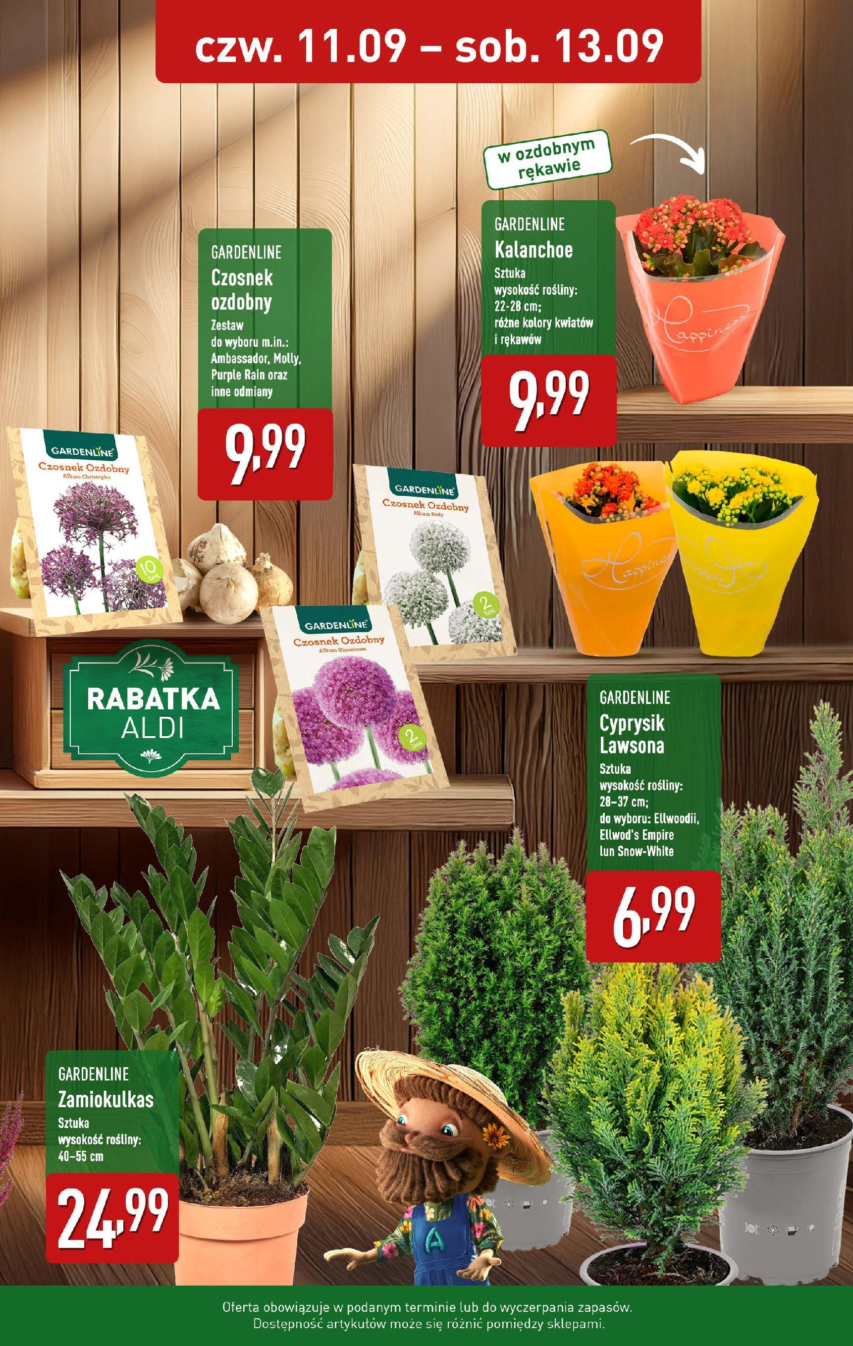 Aldi Gazetka - Piękne rośliny od 11.09.2025 - Ulotka PDF, promocje | Strona: 2 | Produkty: Czosnek, Zamiokulkas, Rosliny, Kalanchoe