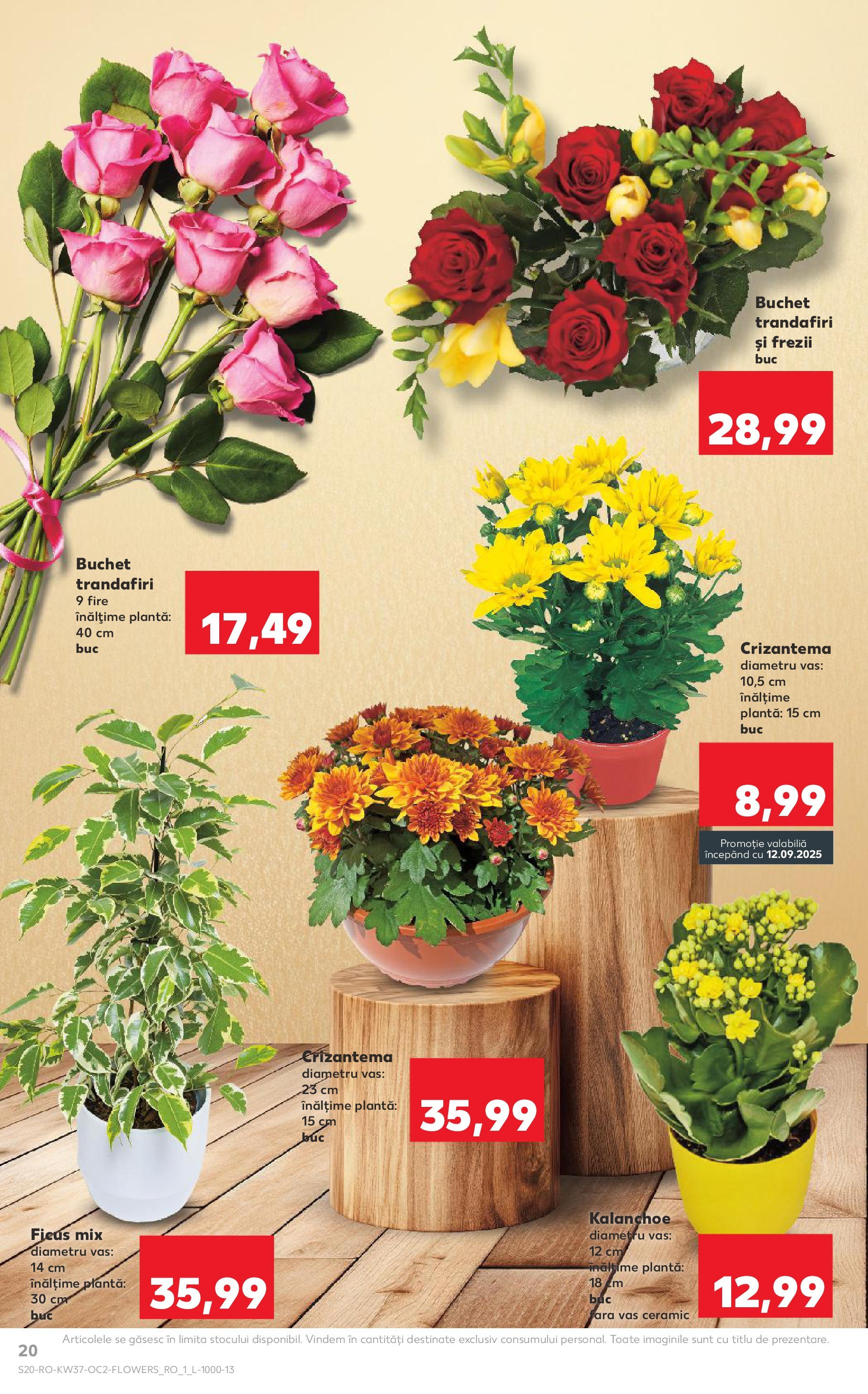 Catalog Kaufland - Pitești 09.09.2025 - Revista si Oferta | Pagină: 20