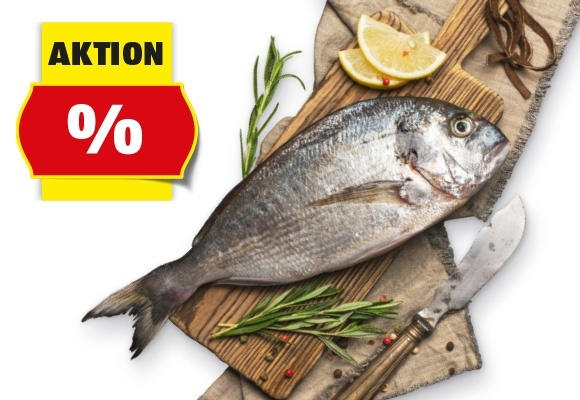 BIO BIO Dorade