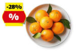 HOFER HOFER MARKTPLATZ Manderinen, 750 g