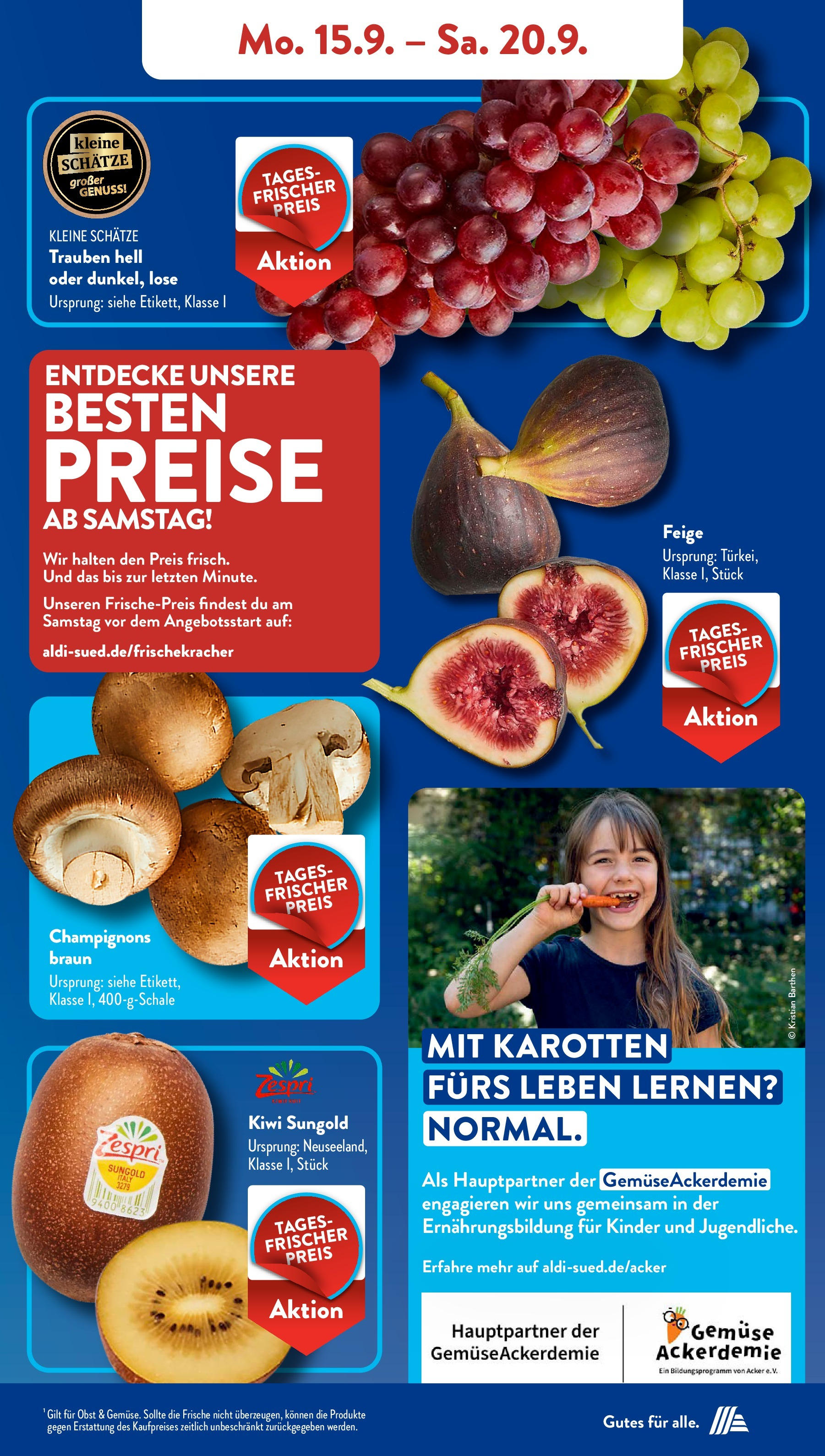 Aldi Süd - Aldi Süd: Wochenangebote (ab 14.09.2025) zum Blättern | Seite: 5 | Produkte: Trauben, Champignons, Obst, Kiwi