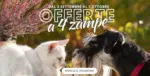 Giardineria Offerte a 4 zampe - al 05.10.2025