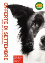 Zoo Service Offerte di Settembre - al 30.09.2025