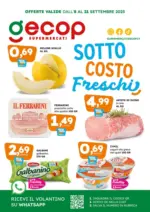 Gecop Sottocosto freschi - al 21.09.2025