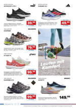 Hervis Hervis: Flugblatt - bis 14.09.2025