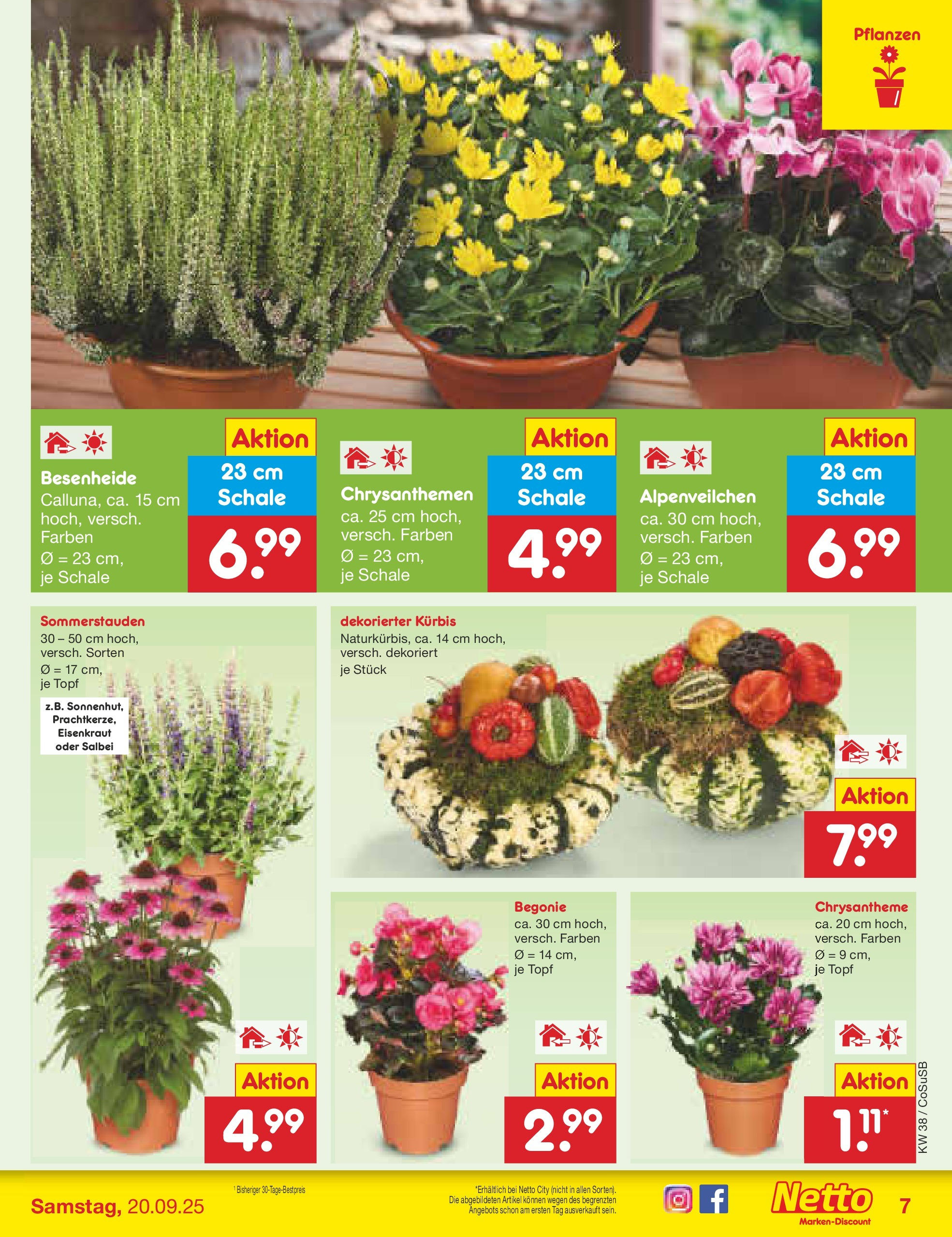 Netto Marken-Discount prospekt Bitterfeld-Wolfen	 (ab 14.09.2025) » Angebote | Seite: 7 | Produkte: Kürbis