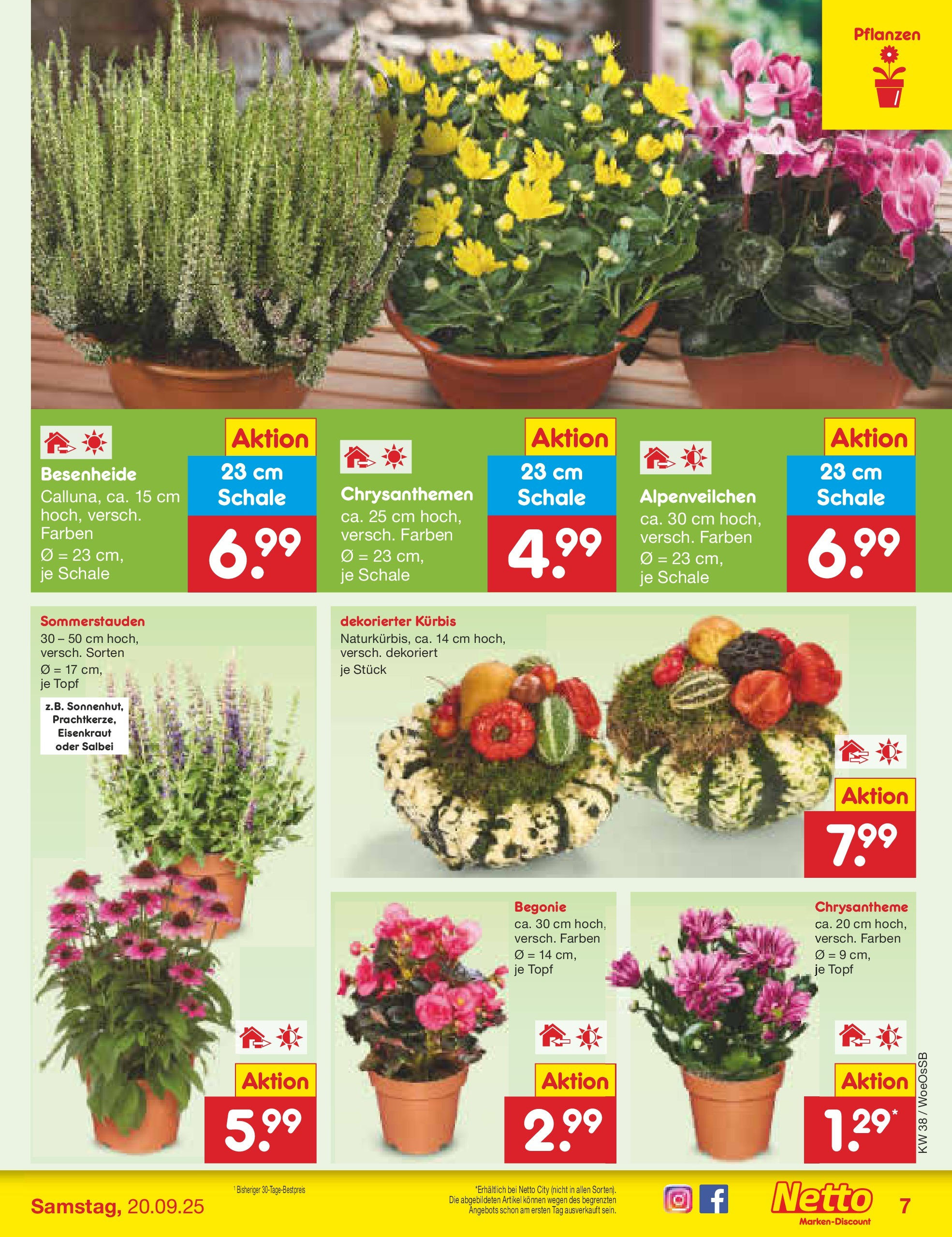 Netto Marken-Discount prospekt Gemmingen (ab 14.09.2025) » Angebote | Seite: 7 | Produkte: Kürbis Netto Marken-Discount prospekt Gemmingen (ab 14.09.2025) » Angebote | Seite: 7 | Produkte: Kürbis