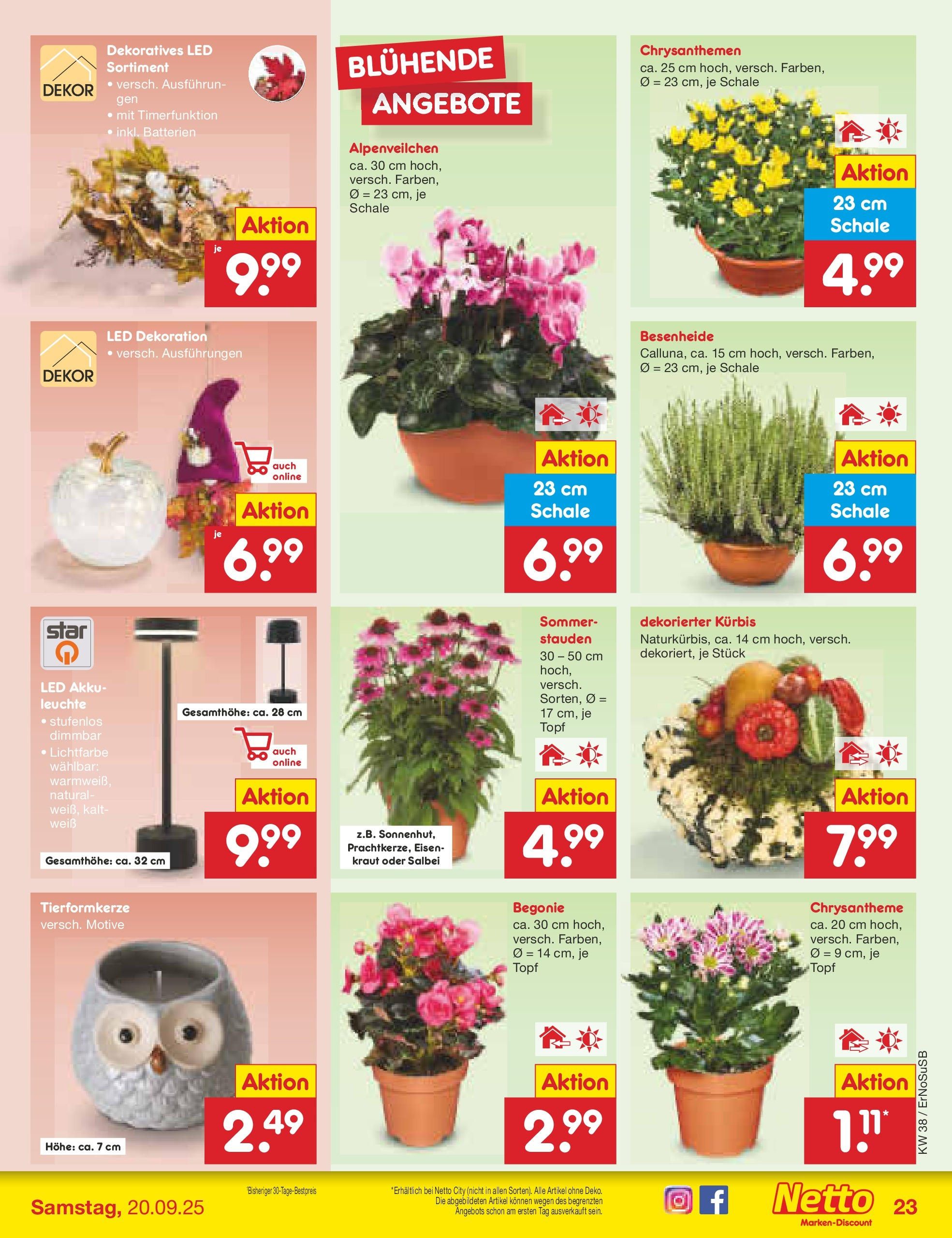 Netto Marken-Discount prospekt Elxleben	 (ab 15.09.2025) » Angebote | Seite: 29 | Produkte: Batterien, Kraut, Kürbis
