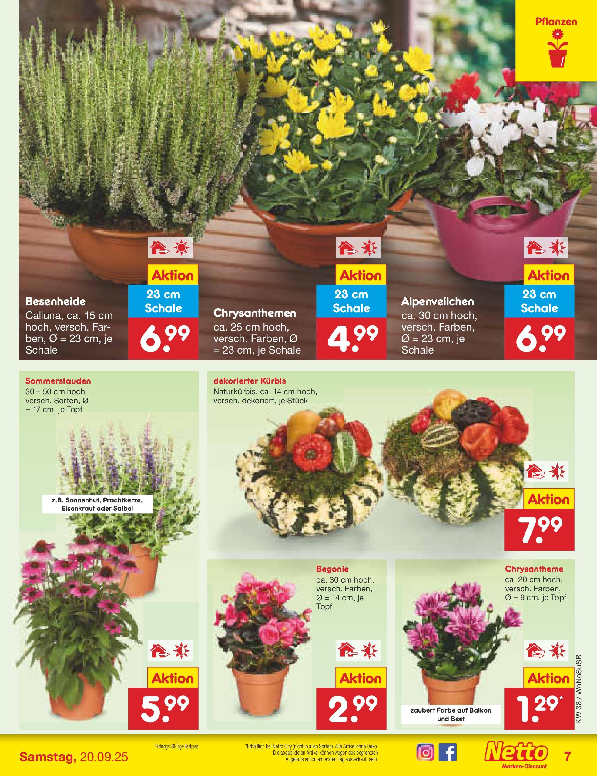 Netto Marken-Discount prospekt Frankfurt am Main (ab 15.09.2025) » Angebote | Seite: 7 | Produkte: Kürbis Netto Marken-Discount prospekt Frankfurt am Main (ab 15.09.2025) » Angebote | Seite: 7 | Produkte: Kürbis