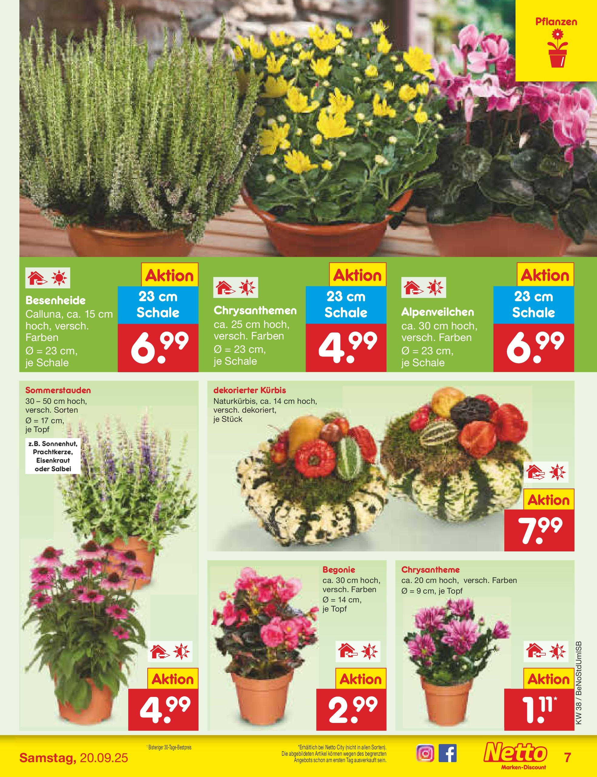 Netto Marken-Discount prospekt Berlin-Spandau	 (ab 15.09.2025) » Angebote | Seite: 7 | Produkte: Kürbis