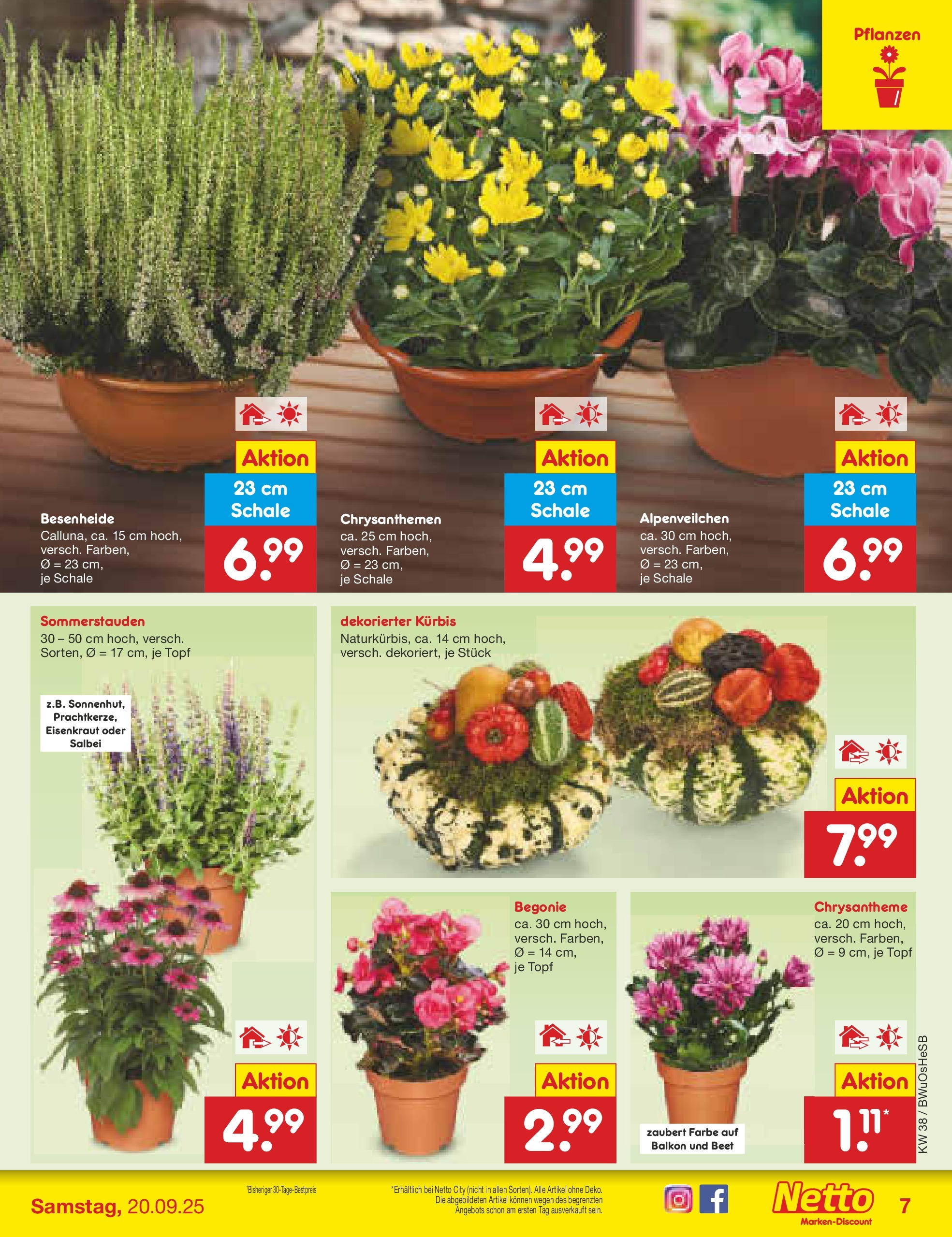 Netto Marken-Discount prospekt Osterode	 (ab 15.09.2025) » Angebote | Seite: 7 | Produkte: Kürbis