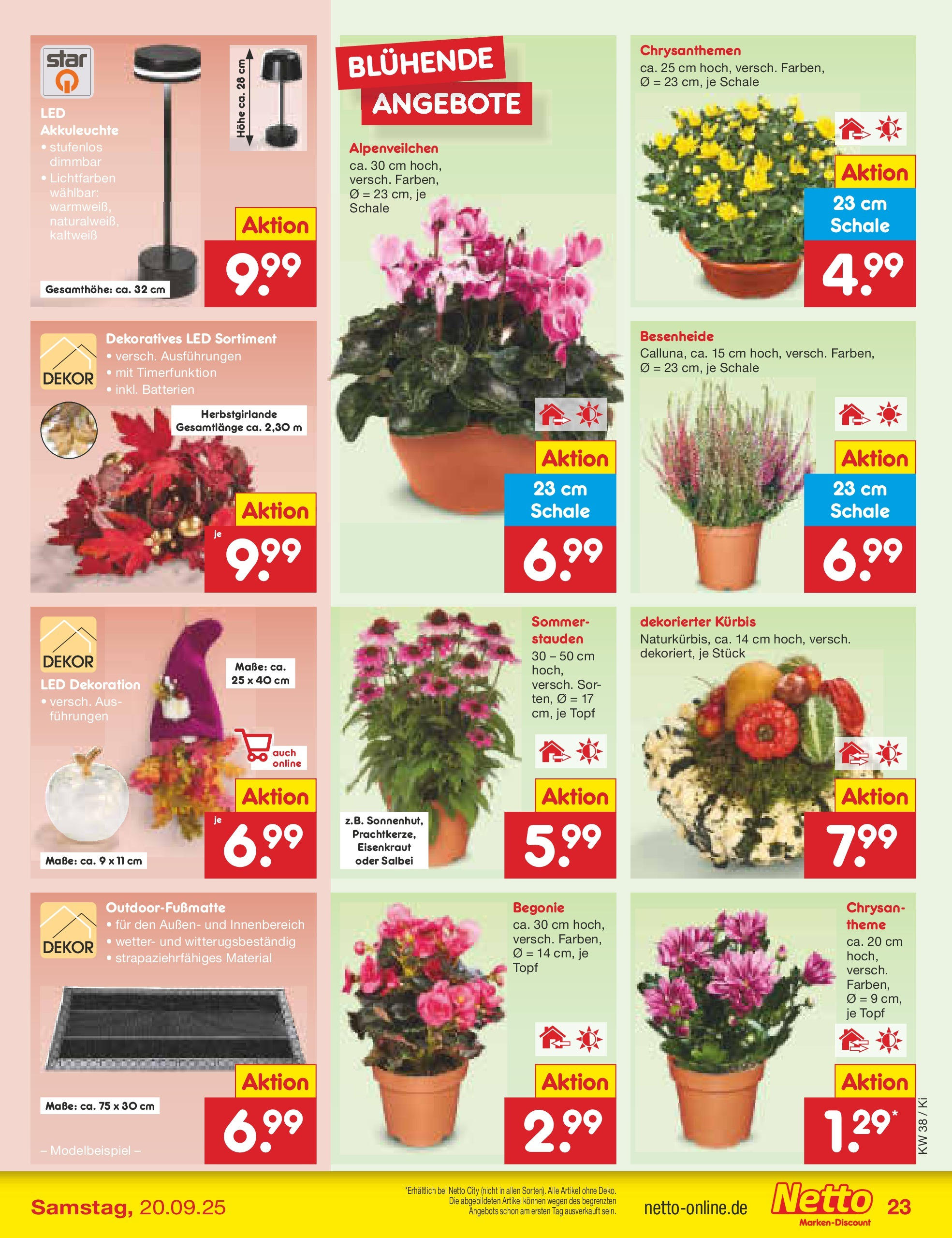 Netto Marken-Discount prospekt Mistelbach	 (ab 14.09.2025) » Angebote | Seite: 25 | Produkte: Batterien, Kürbis