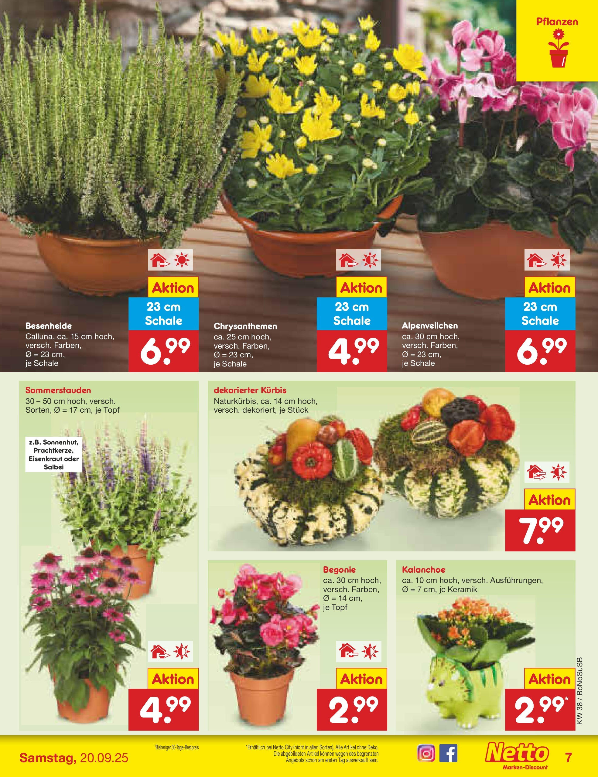 Netto Marken-Discount prospekt Herne	 (ab 15.09.2025) » Angebote | Seite: 7 | Produkte: Kürbis