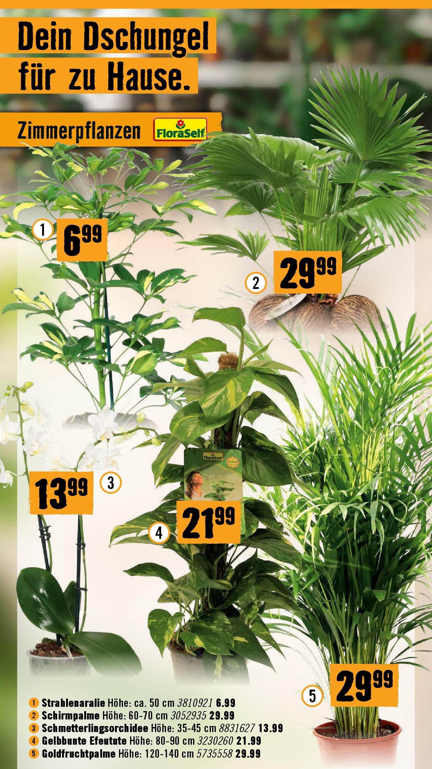 Hornbach Die Neue Grösse in Eisenstadt von 10.09.2025 - Aktuelle Angebote | Seite: 43