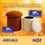Noz Pouf coffre champignon - au 22.09.2025