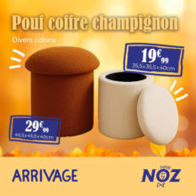 Pouf coffre champignon