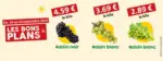 So.bio Nos Bons Plans de la semaine - au 14.09.2025