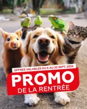 Rentrée au poil : câlins + promos à prix tout doux !