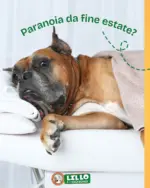 Lillo e i Vagabondi Paranoia da fine estate? - al 27.09.2025