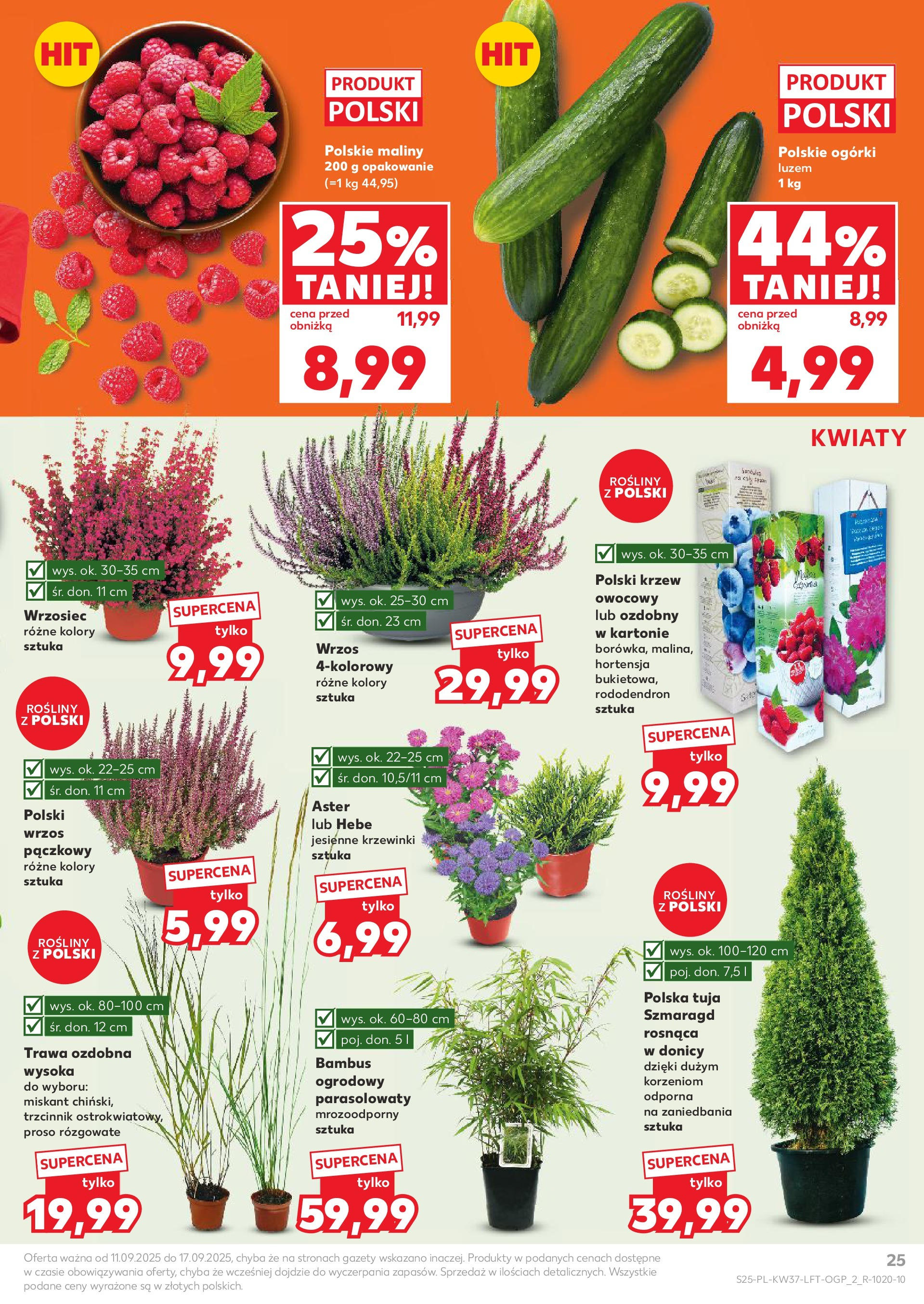 Kaufland gazetka od 11.09.2025 - od jutra PDF | Strona: 25 | Produkty: Wrzos, Rosliny, Ogórki, Kwiaty