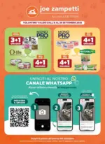 Joe Zampetti Dal 8 al 28 Settembre - al 28.09.2025