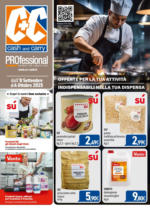 C+C Professional - al 04.10.2025