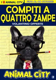 Compiti a quattro zampe