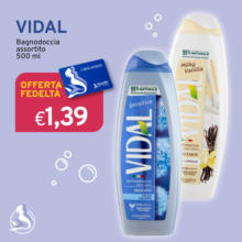Vileda