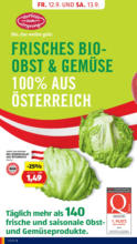 HOFER HOFER: Flugblatt - ab 12.09.2025