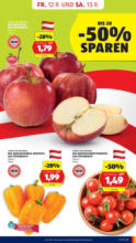 HOFER HOFER: Flugblatt - ab 12.09.2025