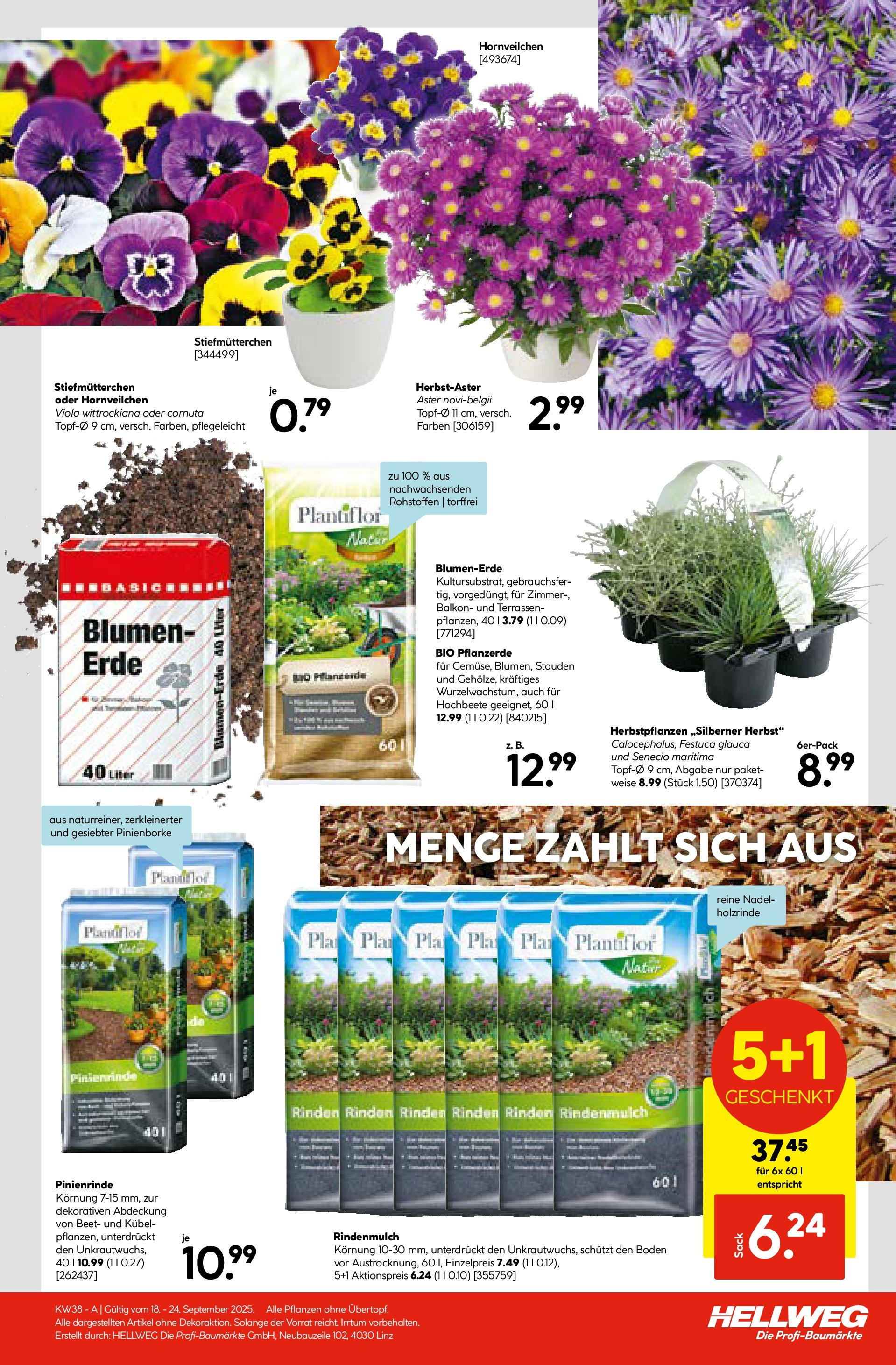 HELLWEG Steindorf / Straßwalchen von 17.09.2025 - Aktuelle Angebote | Seite: 23