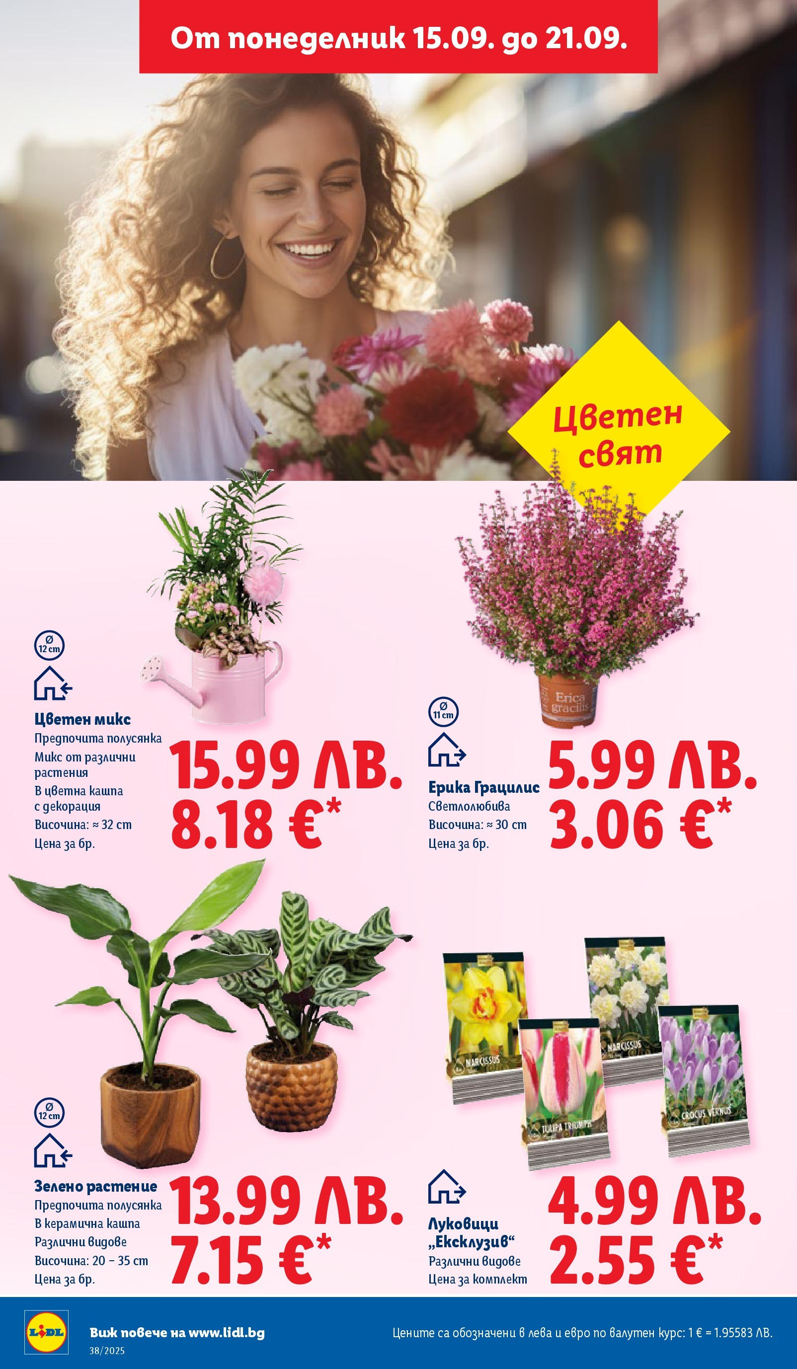 Cедмична брошура на Лидл от 15.09.2025 | Страница: 50 | Продукти: Кашпа, Декорация