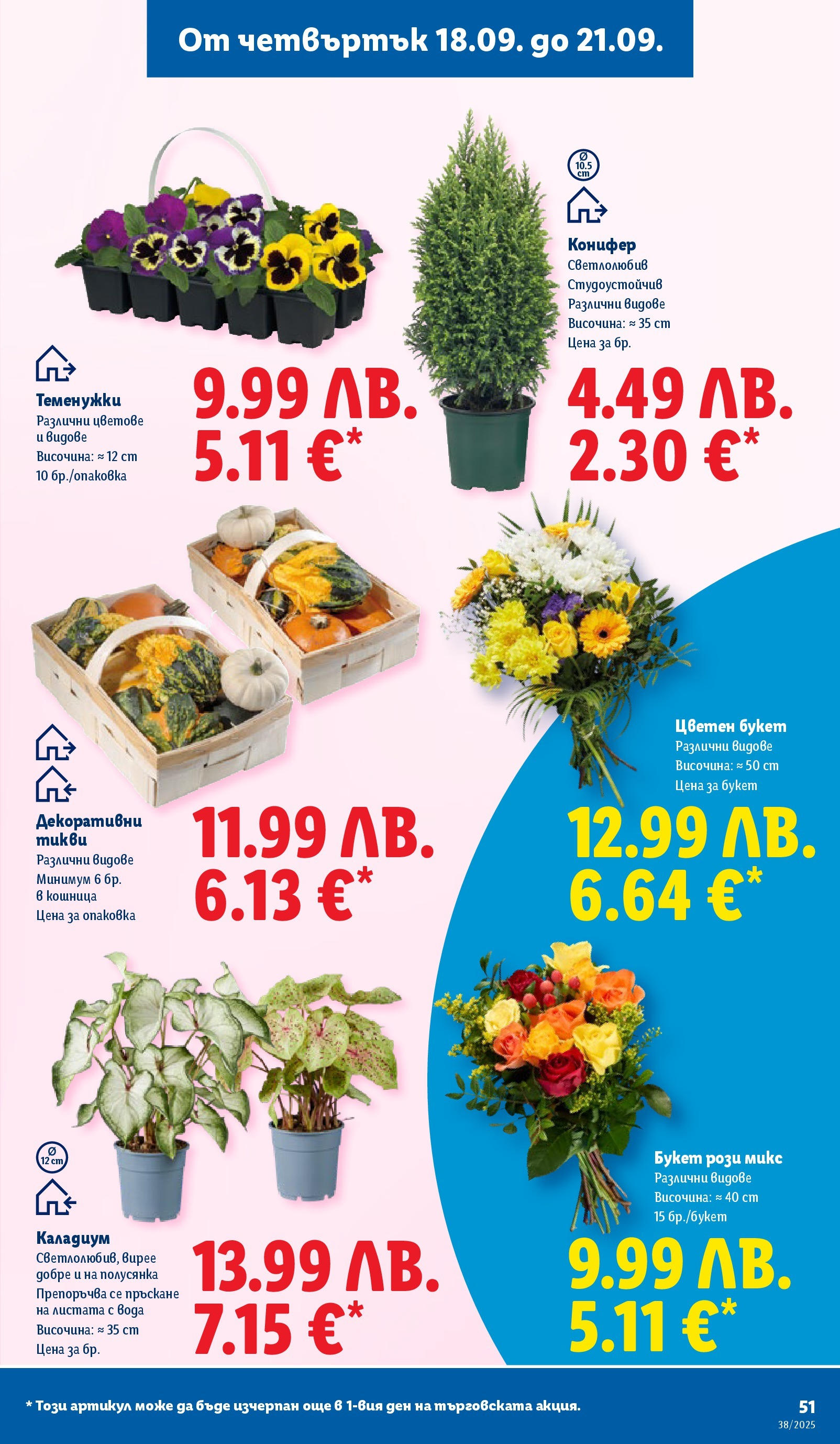 Cедмична брошура на Лидл от 15.09.2025 | Страница: 51 | Продукти: Вода, Кошница