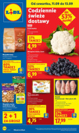 OFERTA WAŻNA 11.09 do 13.09