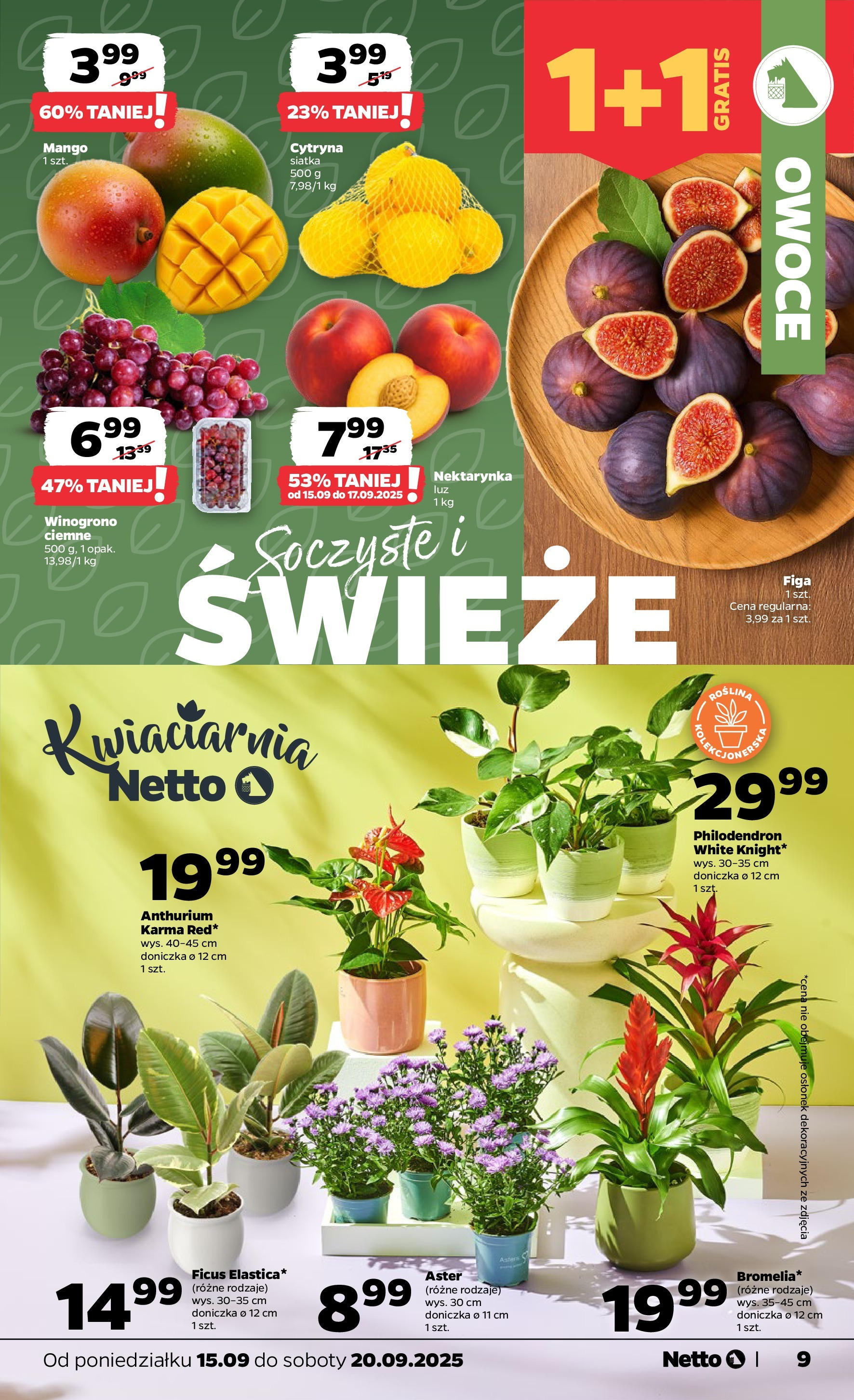 Netto - NETTO T38A ważne do 20.09 od 14.09.2025 - Aktualne promocje | Strona: 9