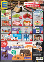 EDEKA Ordosch E xpress: Zeitungsinserat - bis 13.09.2025