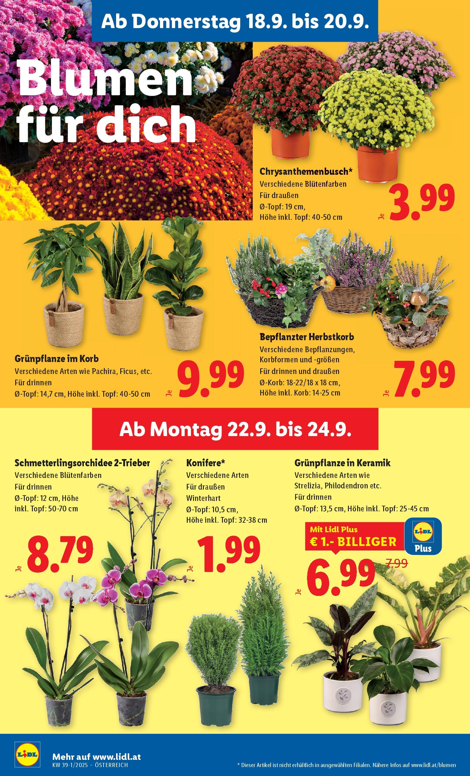 Lidl - Lidl: Flugblatt in deiner Nähe ab 17.09.2025 - Angebote ab donnerstag | Seite: 24