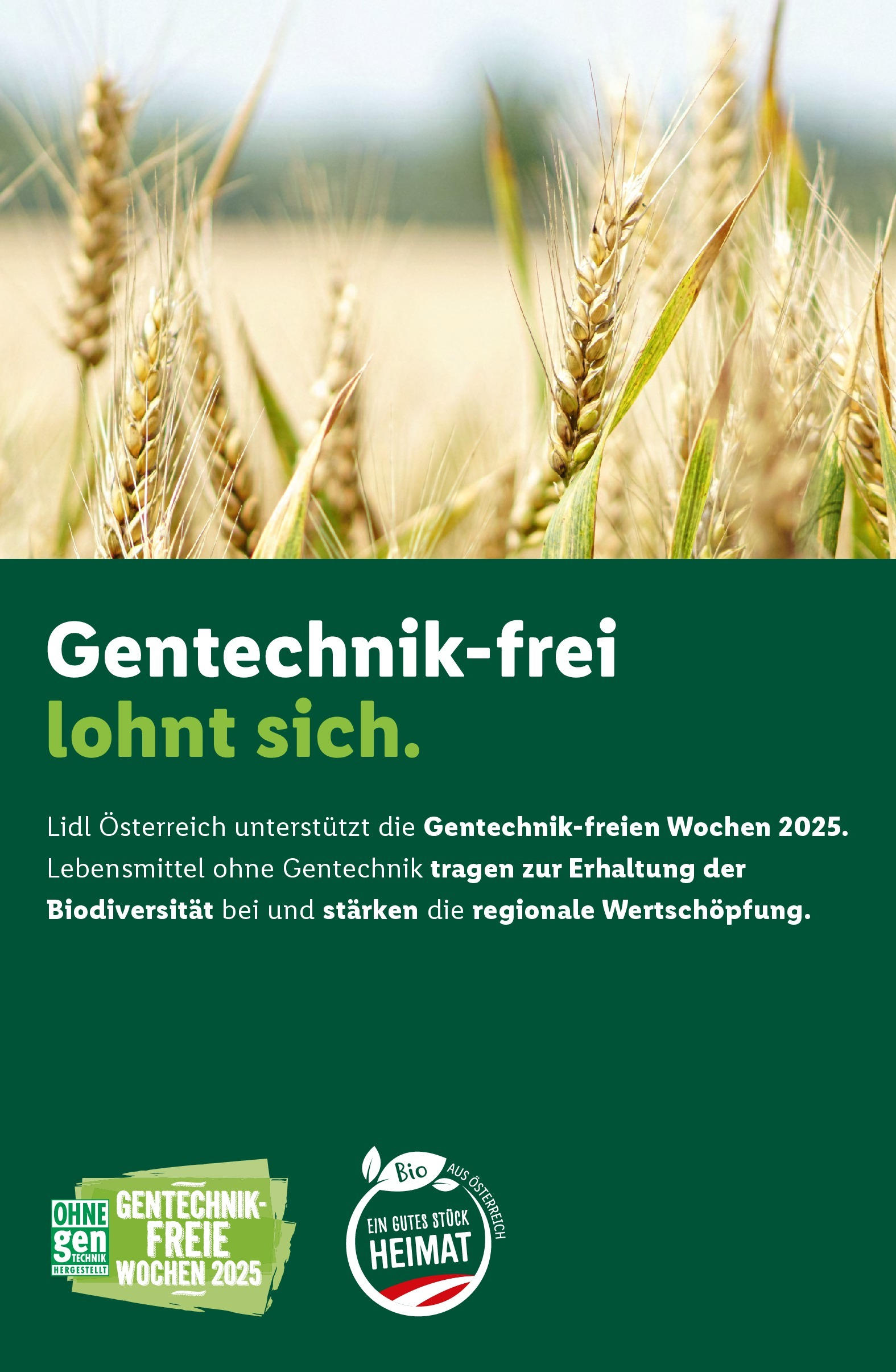 Lidl - Lidl: Flugblatt in deiner Nähe ab 17.09.2025 - Angebote ab donnerstag | Seite: 41