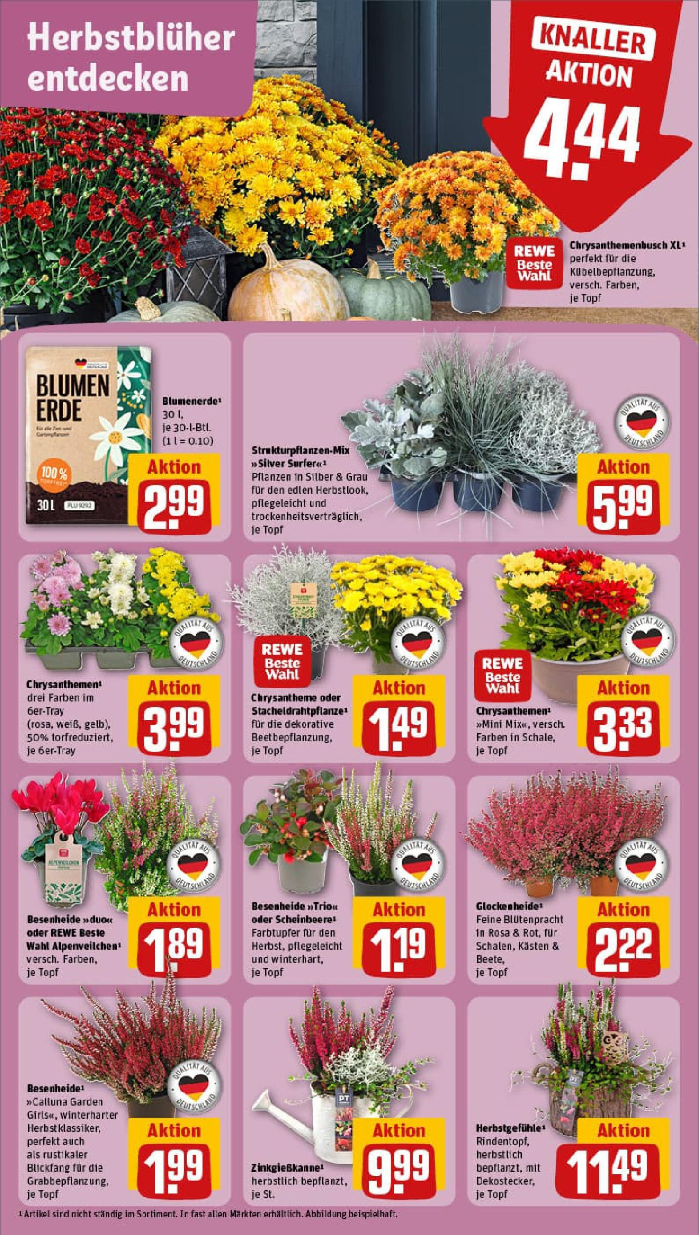 REWE Prospekt ab 14.09.2025 zum Blättern » Angebote | Seite: 7